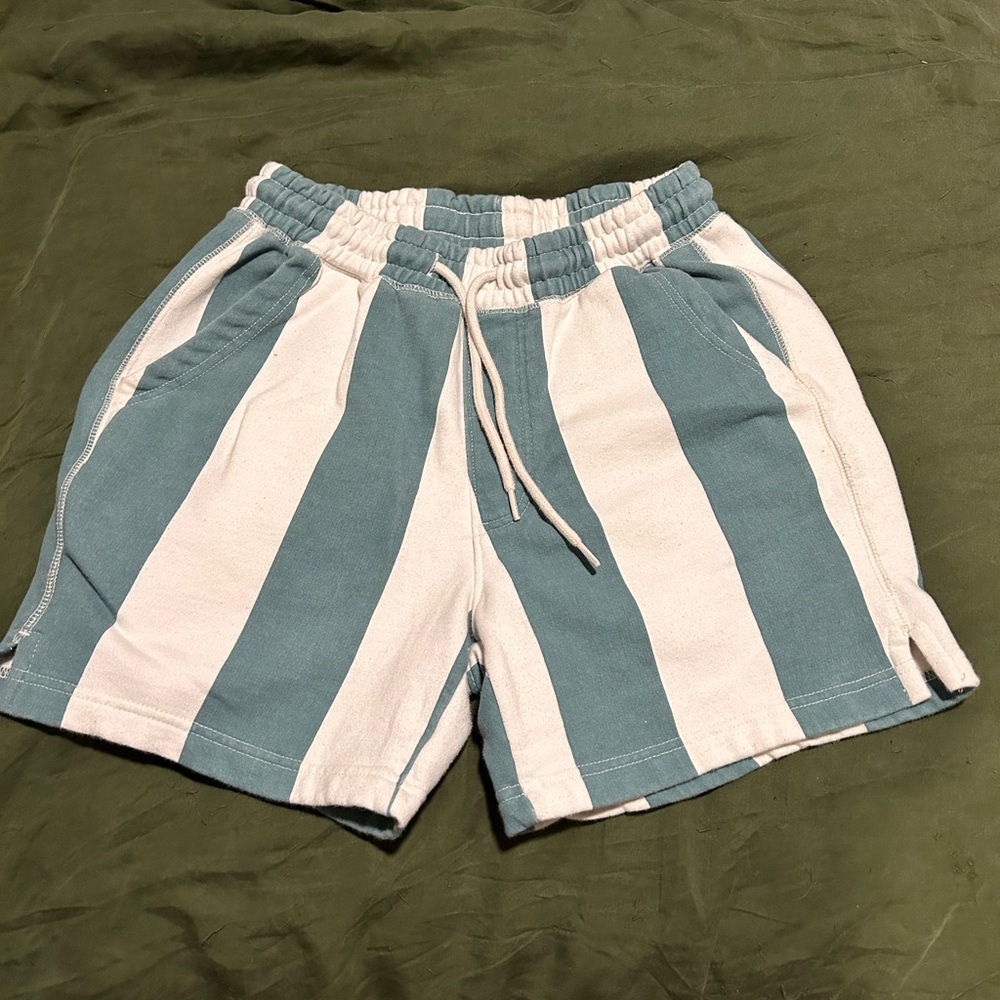 Urban Outfitters Lucien Teal Striped Volley Shorts